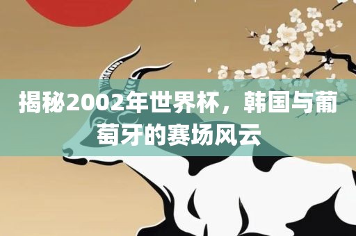 揭秘2002年世界杯，韩国与葡萄牙的赛场风云