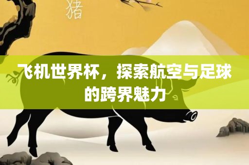 漯河市盈旭机械设备有限公司飞机世界杯，探索航空与足球的跨界魅力