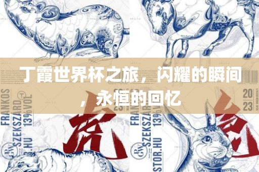 丁霞世界杯之旅，闪耀的瞬间，漯河市盈旭机械设备有限公司永恒的回忆