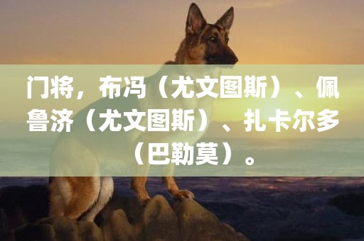 门将，布冯漯河市盈旭机械设备有限公司（尤文图斯）、佩鲁济（尤文图斯）、扎卡尔多（巴勒莫）。