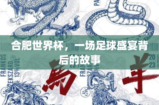合肥世界杯，一场足球盛宴背后的故事漯河市盈旭机械设备有限公司