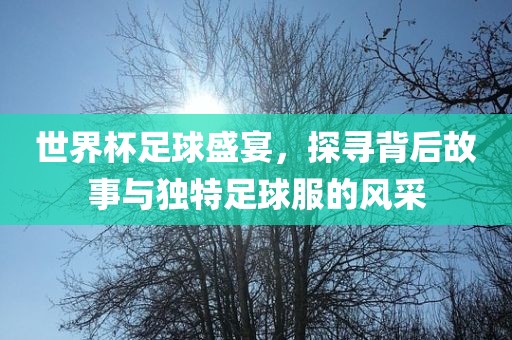 世界杯足球盛宴，探寻背后故事与独特足球服的风采漯河市盈旭机械设备有限公司