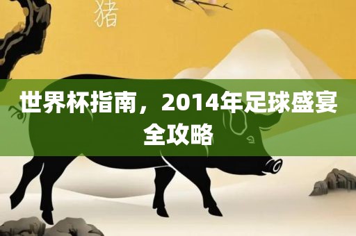 世界杯指南，2014年足球盛宴全攻略漯河市盈旭机械设备有限公司