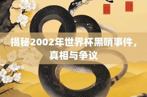 揭秘2002年世界杯黑哨事件，真相与争议漯河市盈旭机械设备有限公司