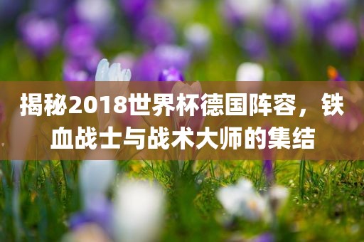 揭秘2018世界杯德国阵容，铁血战士与战术大师的集结漯河市盈旭机械设备有限公司