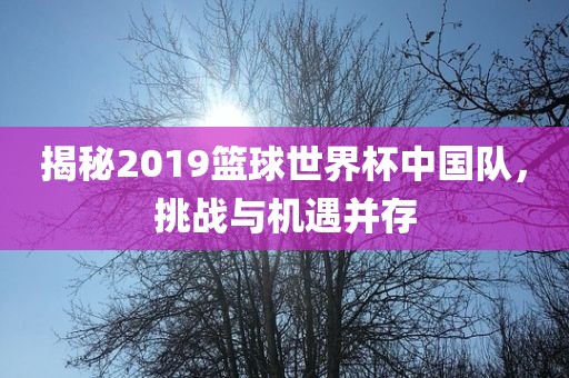 揭秘2019篮球世界杯中国队，挑战与机遇并存漯河市盈旭机械设备有限公司