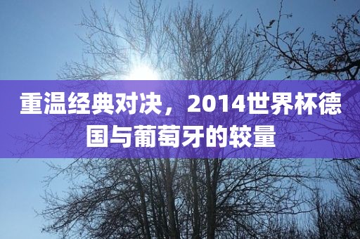重温经典对决，2014世界杯德国与葡萄牙的较量