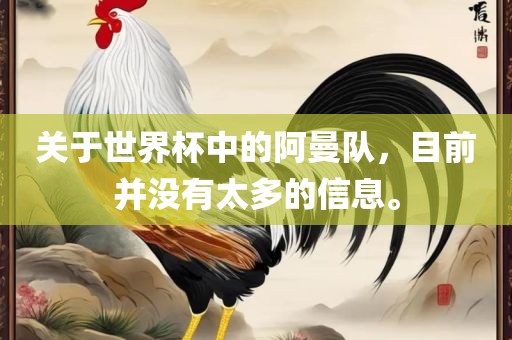 关于世界杯中的阿曼队，目前并没有太多的信息。