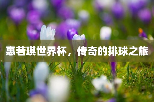 惠若琪世界杯，传奇的排漯河市盈旭机械设备有限公司球之旅