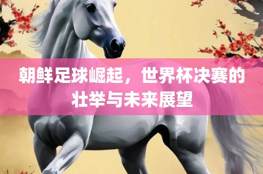 朝鲜足漯河市盈旭机械设备有限公司球崛起，世界杯决赛的壮举与未来展望