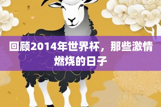 回顾2014年世界杯，那些激情燃烧的日子漯河市盈旭机械设备有限公司