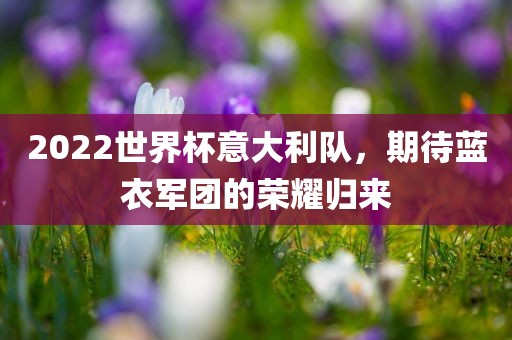 2022世界杯意大利队，期待蓝衣军团的荣耀归来