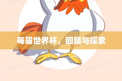 每届世界杯，回顾与探索