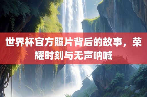 世界杯官方照片背后的故事，荣耀时刻与无声呐喊