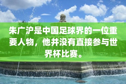 朱广沪是中国足球界的一位重要人物，他并没有直接参与世界杯比赛。