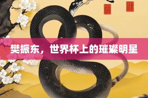 樊振东，世界杯上的璀璨明星