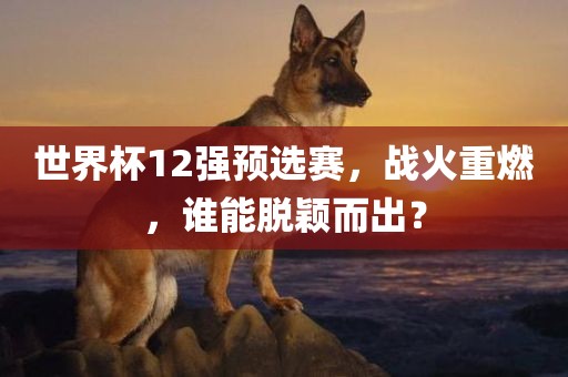世界杯12强预选赛，战火重燃，谁能脱颖而出？