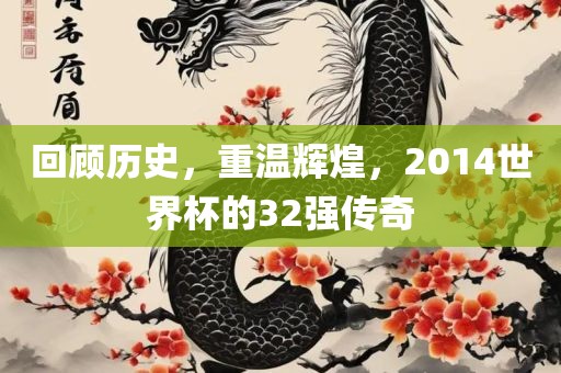 回顾历史，重温辉煌，2014世界杯的32强传奇