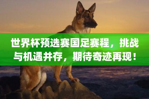 世界杯预选赛国足赛程，挑战与机遇并存，期待奇迹再现！漯河市盈旭机械设备有限公司