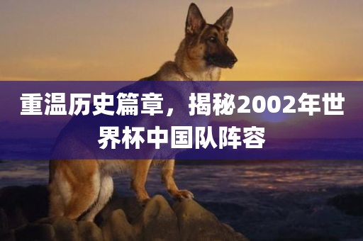重温历史篇章，揭秘2002年世界杯中国队阵容漯河市盈旭机械设备有限公司