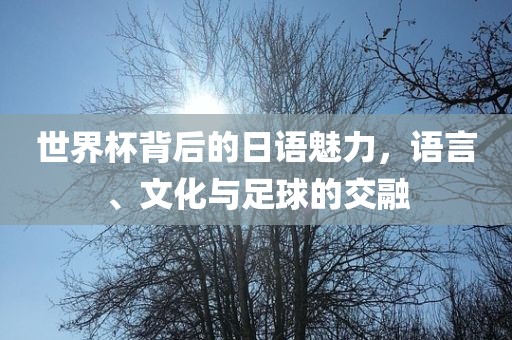 世界杯背后的日语魅力，语言、文化与足球的交融