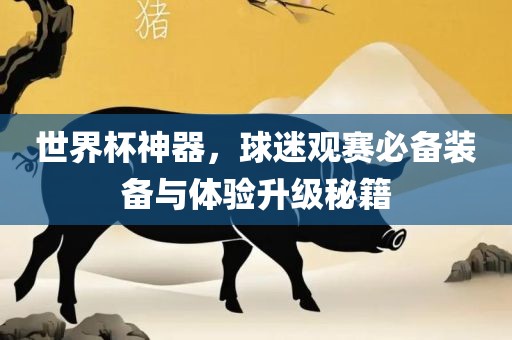 世界杯神器，球迷观赛必备装备与体验升级秘籍