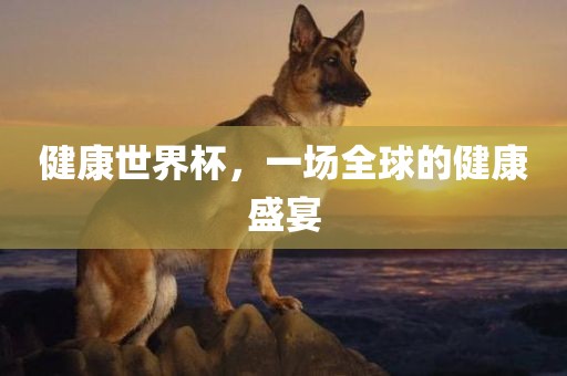 健康世界杯，一场全球的健康漯河市盈旭机械设备有限公司盛宴