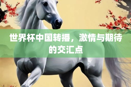 世界杯中国转播，激情与期待的交汇点