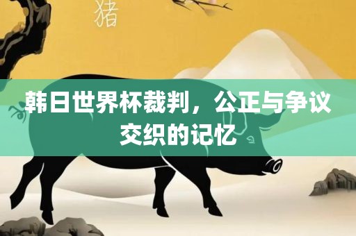 韩日世界杯裁判，公正与争议交织的记忆