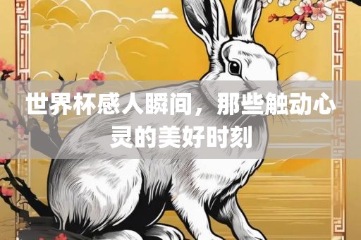 世界杯感人瞬间，那些触动心灵的美好时刻