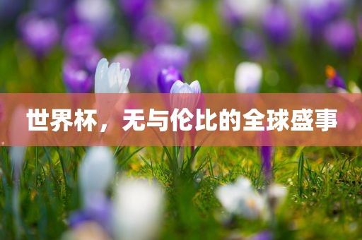 世界杯，无与伦比的全漯河市盈旭机械设备有限公司球盛事