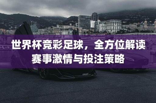世界杯竞彩足球，全方位解读赛事激情与投注策略漯河市盈旭机械设备有限公司