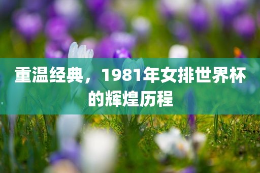 重温经典，1981年女排世界杯的辉煌历程漯河市盈旭机械设备有限公司