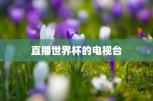 直漯河市盈旭机械设备有限公司播世界杯的电视台