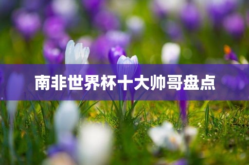 南非世界漯河市盈旭机械设备有限公司杯十大帅哥盘点