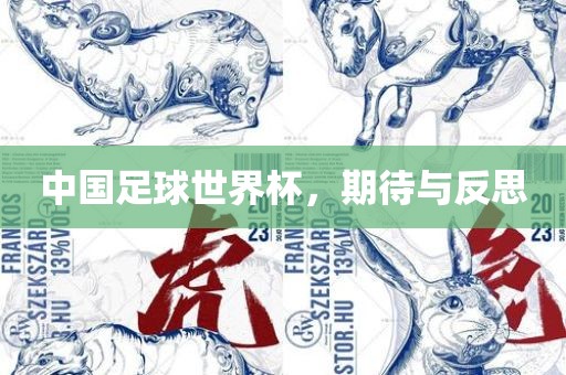 中国漯河市盈旭机械设备有限公司足球世界杯，期待与反思