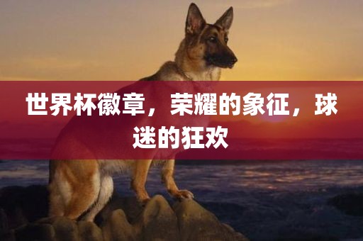 世界杯徽章，荣耀的象征，球迷的狂欢