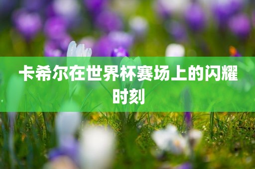 卡希尔在世界杯赛场上的闪耀时刻漯河市盈旭机械设备有限公司