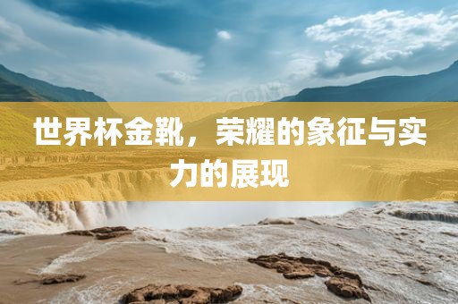 世界杯金靴，荣耀的象征与实力的展现
