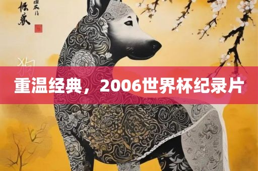 网易新闻 第5页