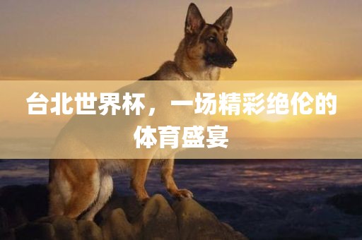 台北世界杯，一场精彩绝伦的体育盛宴漯河市盈旭机械设备有限公司