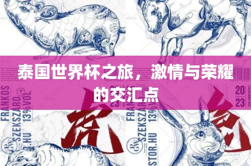 泰国世界杯之旅，激情与荣耀的交汇点漯河市盈旭机械设备有限公司