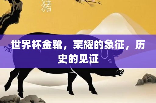 世界杯金靴，荣耀的象征，历史的见证