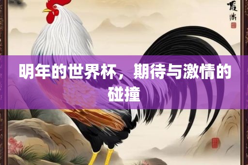 明年的世界杯，期待与激情的碰撞