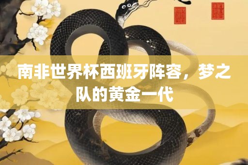 南非世界杯西班牙阵容，梦之队的黄金一代
