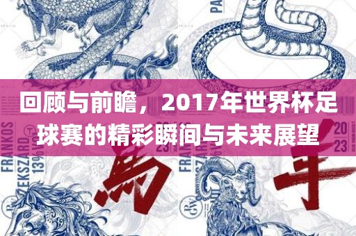 回顾与前瞻，2017年世界杯足球赛的精彩瞬间与未来展望漯河市盈旭机械设备有限公司