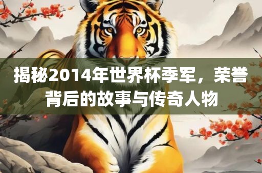 揭秘2014年世界杯季军，荣誉背后的故事与传奇人物