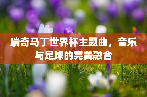 瑞奇马丁世界杯主题曲，音乐与足球漯河市盈旭机械设备有限公司的完美融合