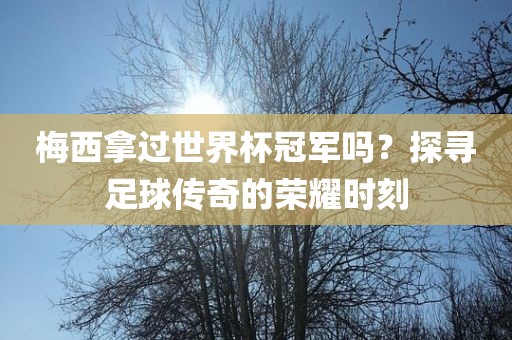 梅西拿过世界杯冠军吗？探寻足球传奇的荣耀时刻