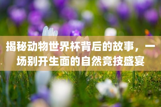 揭秘动物世界杯背后的故事，一场别开生面的自然竞技盛宴